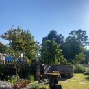 사비 그리고 달 이미지