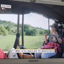 (주)네네여행 이미지