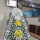 고하이외과의원 이미지