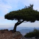 공주생명과학고 제2농장 이미지