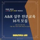 메이져세븐컴퍼니 이미지