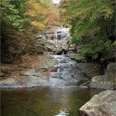 도장골2 이미지