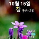 화요일 이미지