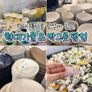 박*국 - 안양시 만안구 | 잠실 롯데월드몰 팝업 | 남대문 핫플 현대기물 & 박그릇 후기