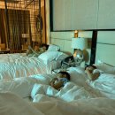 마닐라여행｜솔레어 리조트 호텔 아이들과 두 번째 방문 후기 (객실, fresh 조식, 수영장, pool bar)
