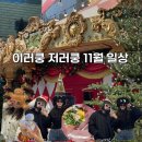 이러쿵저러쿵 11월 일상 기록