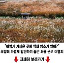 가을단풍과 함게 여행지 여행 이미지