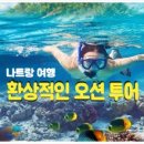 오션투어 티스토리