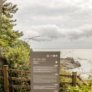 천지연산책로(폭포안) 이미지