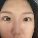 본도시락(회기점) | 회기 속눈썹 노글루 속눈썹 펌 제이에스 뷰티 후기!