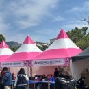 체리블라썸 페스티벌 1일차 후기(+부스, 화장실, 준비물 등 꿀팁)