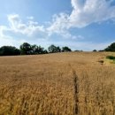 갈곡농장 이미지