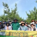 군위군 농업기술센터 | 대구 군위군 농업기술센터, 농촌 일손돕기 실시