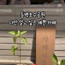 카페이륜당 이미지