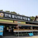 안면도 리솜 맛집 씨스트로 게국지 안면도 수산시장 맛집