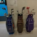 성일레포츠 이미지