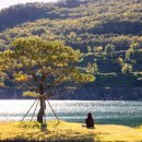 동해시-1 이미지