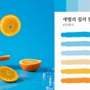 레오버넷(주) 이미지