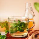 페퍼민트 이미지