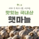 감천 황토소금상회 | 서산 육쪽마늘 후기 | 직접 판매하면서 느낀 서산 마늘 특징