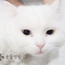 해운대플러스동물병원 이미지