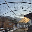 초원목장 | 해피초원목장 커플 여행 후기｜사진 잘 나오는 자연 데이트