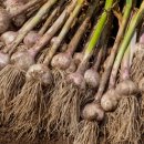 수하농장 이미지