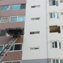 탄벌동-5 이미지