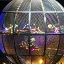 제주아트 서커스 이미지