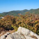 진산농협 이미지