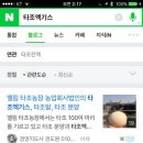 엘림타조 이미지