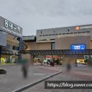 더썸