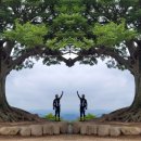 성당배수장 이미지