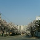 남산 온천 이미지