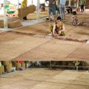 그늘막100 이미지