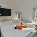 비비키즈풀빌라 이미지