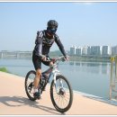 낭만자전거 이미지