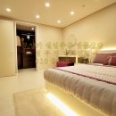 리젤펠리스 이미지