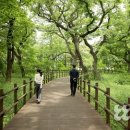 조이풀빌리지 이미지