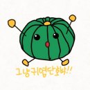 다솜한차