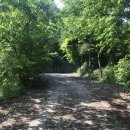 유림충전소 이미지