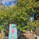 숏게임마스타 | 안성일죽 숏게임마스타 벙커 탈출 어프로치샷 숏퍼팅 연습