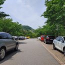 구갈레스피아공원 이미지