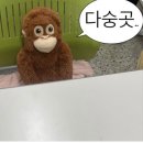 럭키한 7월
