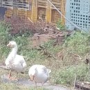 유영준 농장 이미지