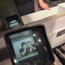 핑키펑키 전북대점 이미지