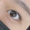 성암초등학교 | 경산속눈썹펌 잘하는곳 브로우1번지 유지력 좋은 펜타힐속눈썹펌 추천