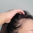 엠포로스 이미지