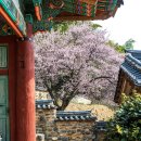 밀양향교 이미지