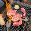희망펫마트 | 고성 오션투유리조트 애견동반 펫룸 조식 바베큐장 이용후기